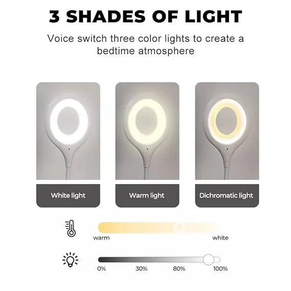 Smart Voice Light