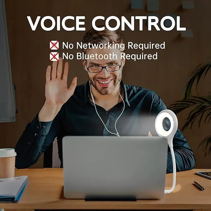 Smart Voice Light