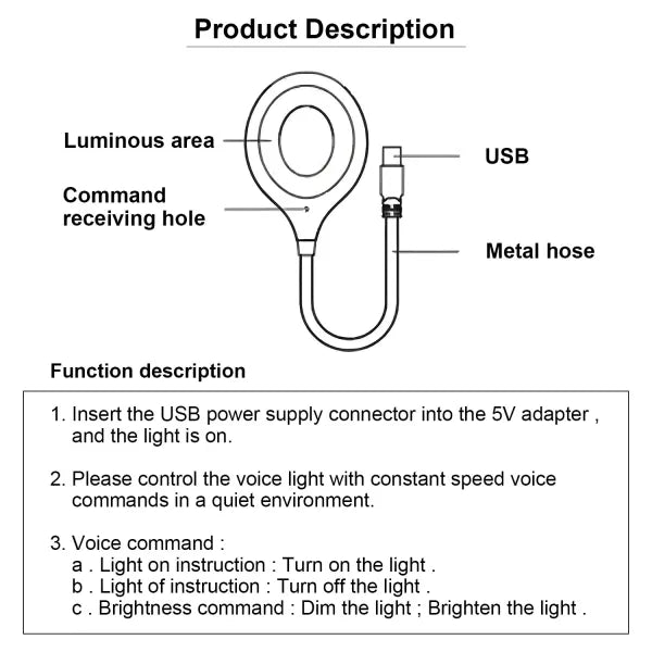 Smart Voice Light