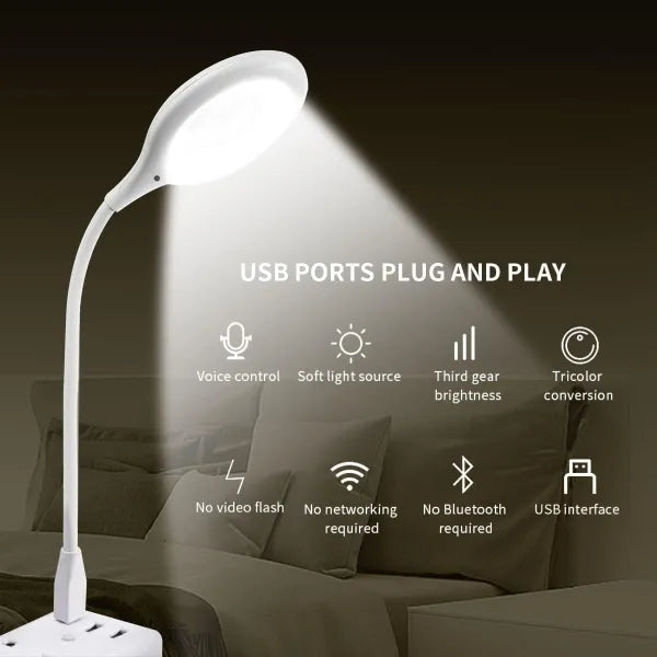 Smart Voice Light